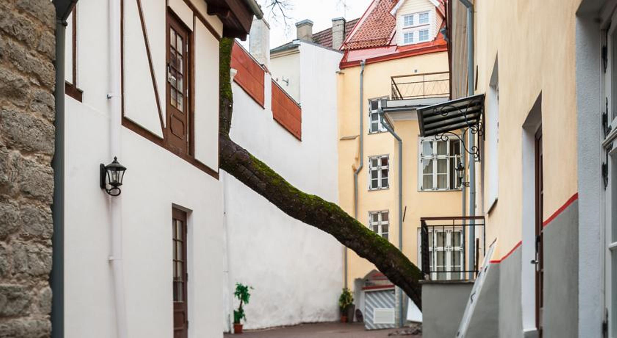 Hotel Three Crowns Residents à Tallinn Extérieur photo